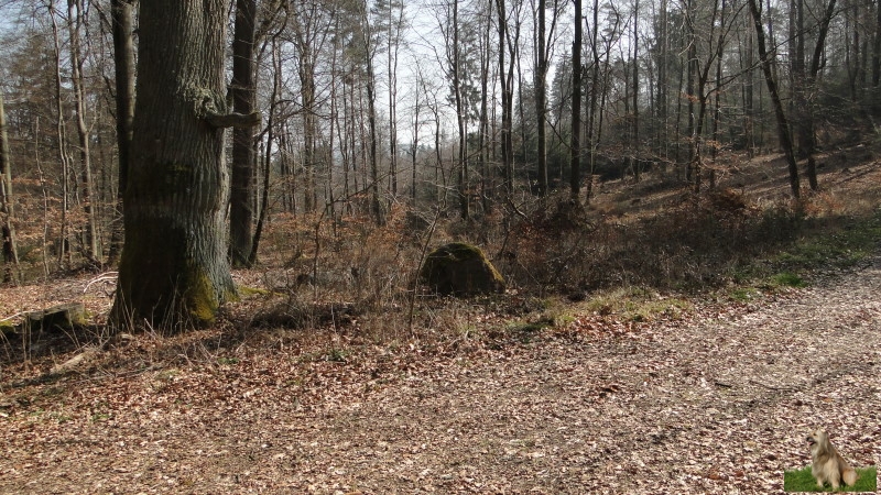 Ritterstein Nr. 274-6 Stüterhof Leiningisches Gestüt Hof-Ruinen 15. - 18. Jhdt..JPG - Ritterstein Nr.274 Stüterhof Leiningisches Gestüt Hof-Ruinen 15. - 18. Jhdt.